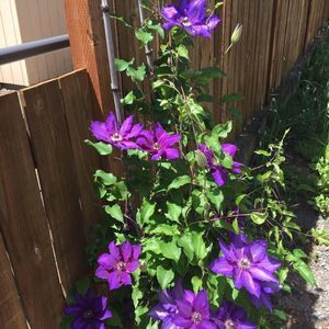 Meet your Posher, Cassi